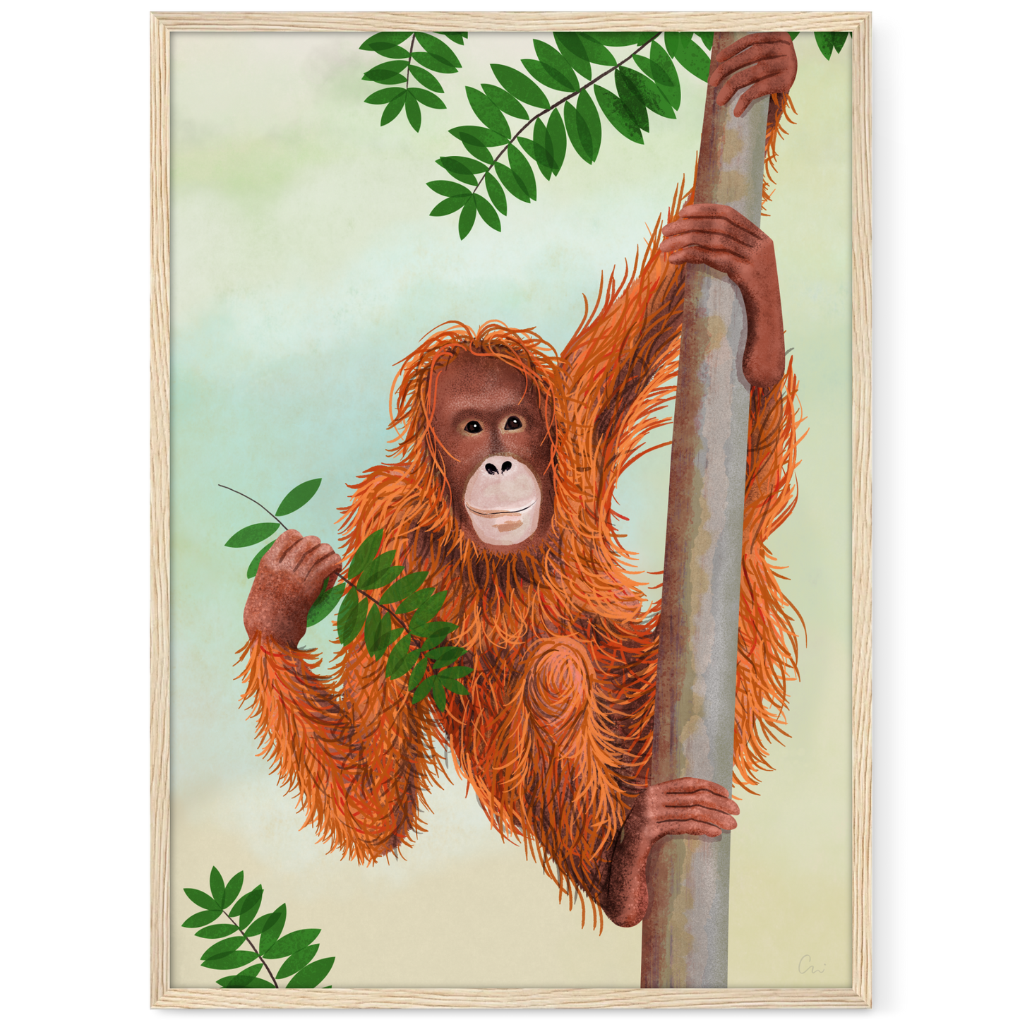 Poster 'Orang-Utan'
