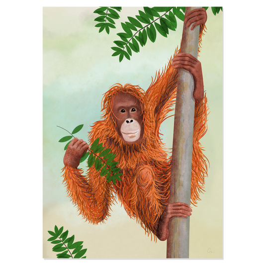 Poster 'Orang-Utan'