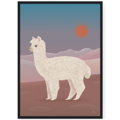 Poster 'Alpaka'