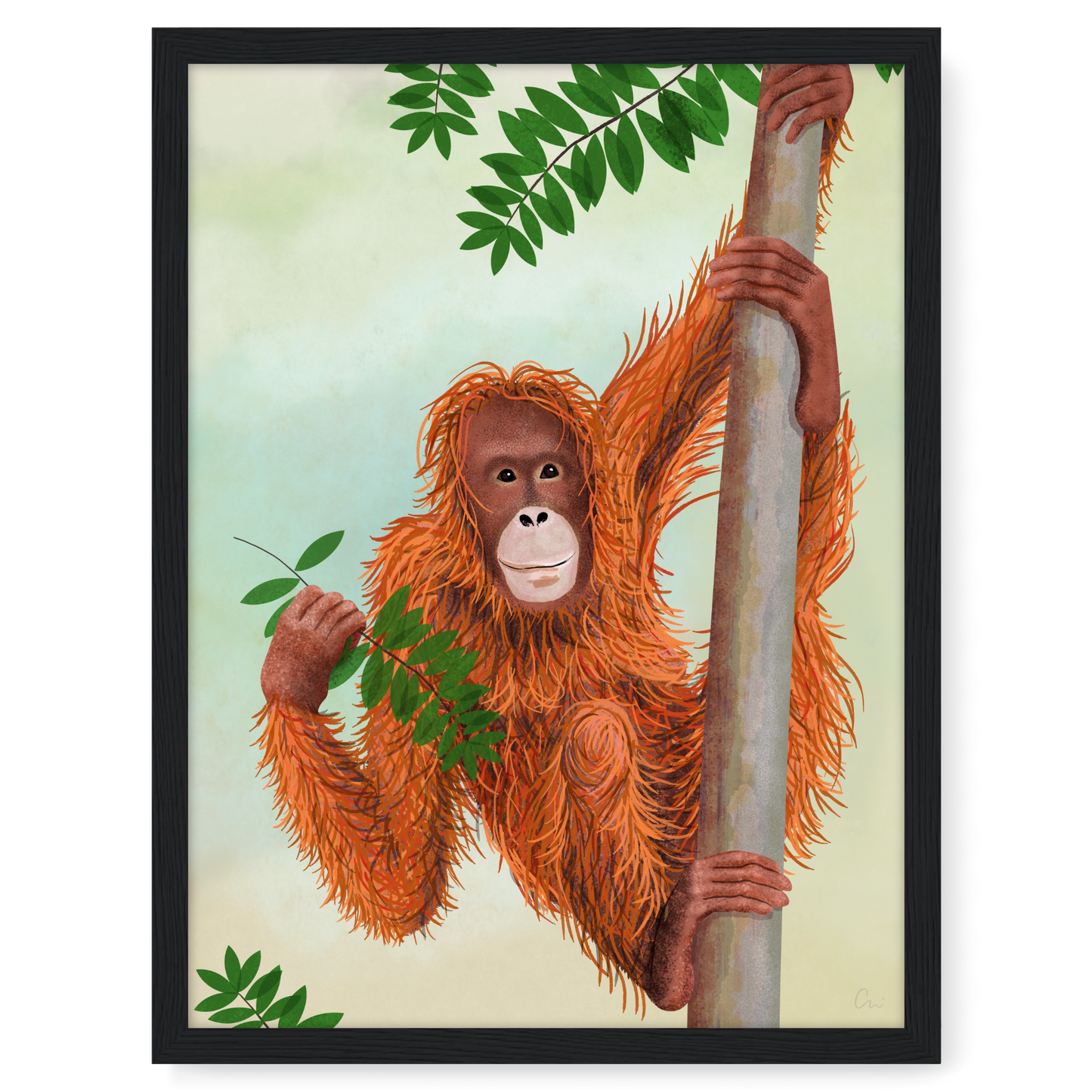 Poster 'Orang-Utan'
