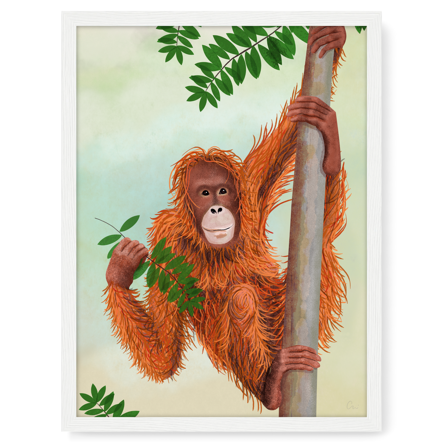 Poster 'Orang-Utan'