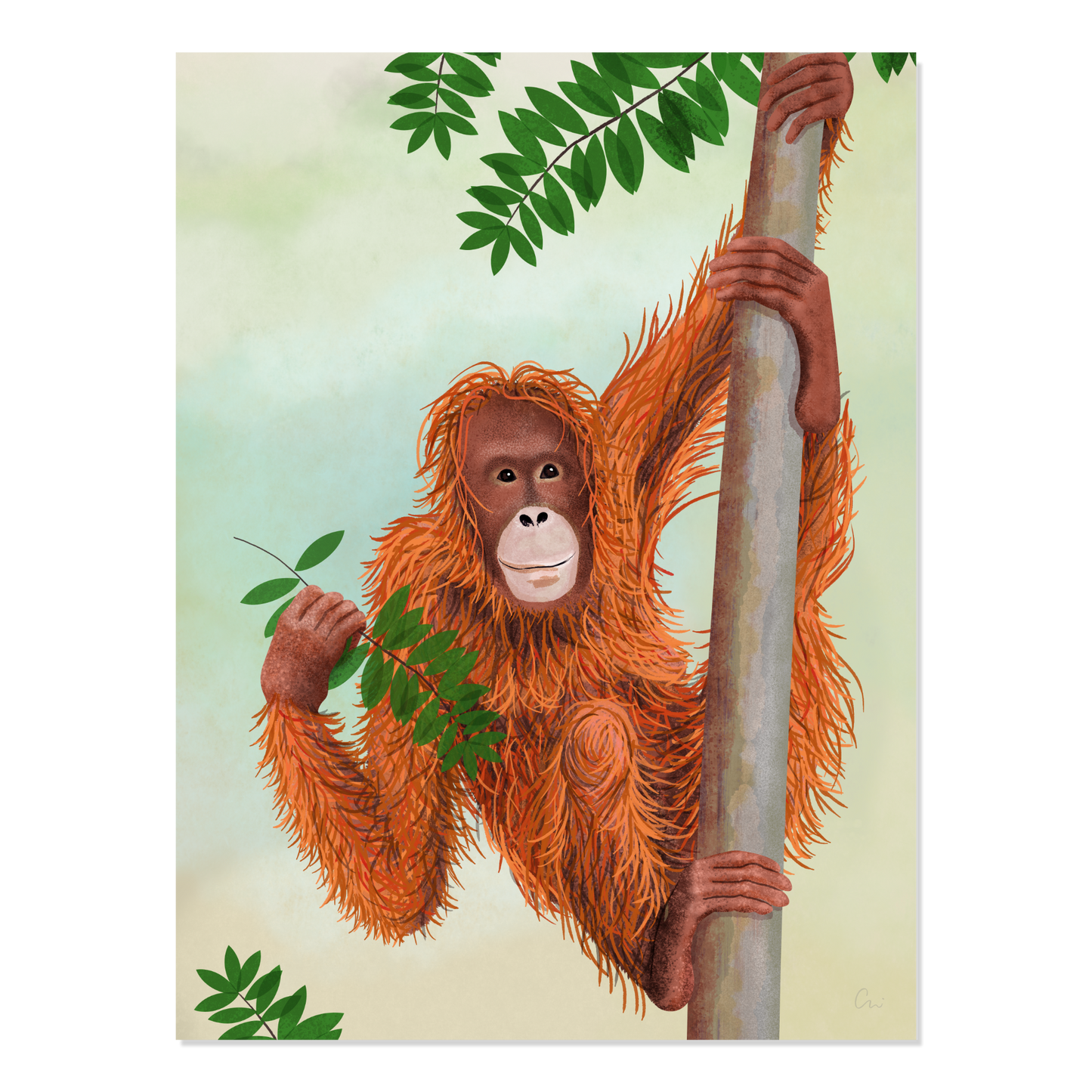 Poster 'Orang-Utan'